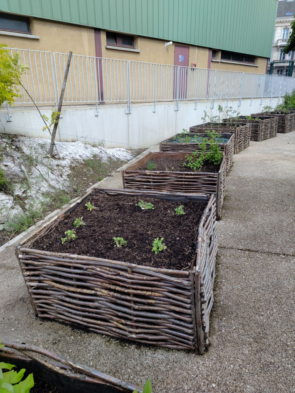 POTAGER
